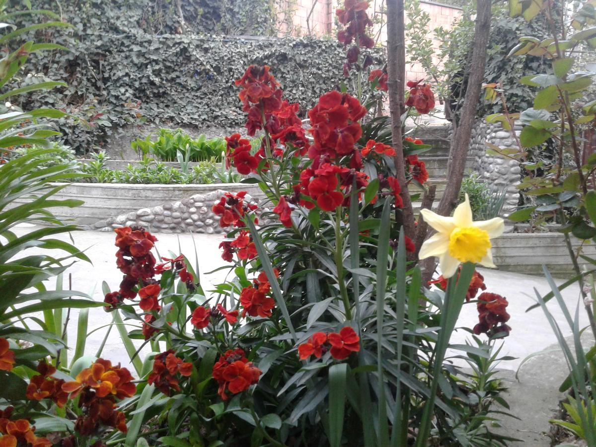 Guest House Edem Tbilisi Exterior photo
